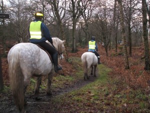 Hacking in Plean Country Park