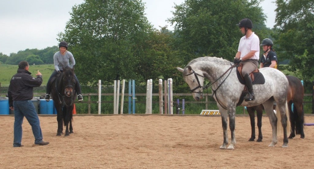 horse riding lessons and training 